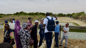 Groupe de partenaires et d'experts observant un bassin de traitement des eaux dans le cadre d'un projet d'assainissement durable.